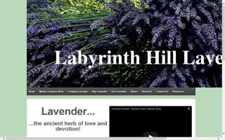 Labyrinth Hill