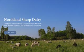 Northland Sheep Dairy