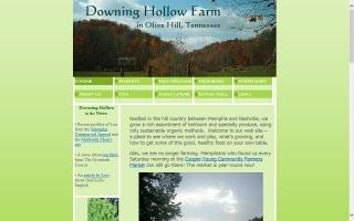 Downing Hollow Farm